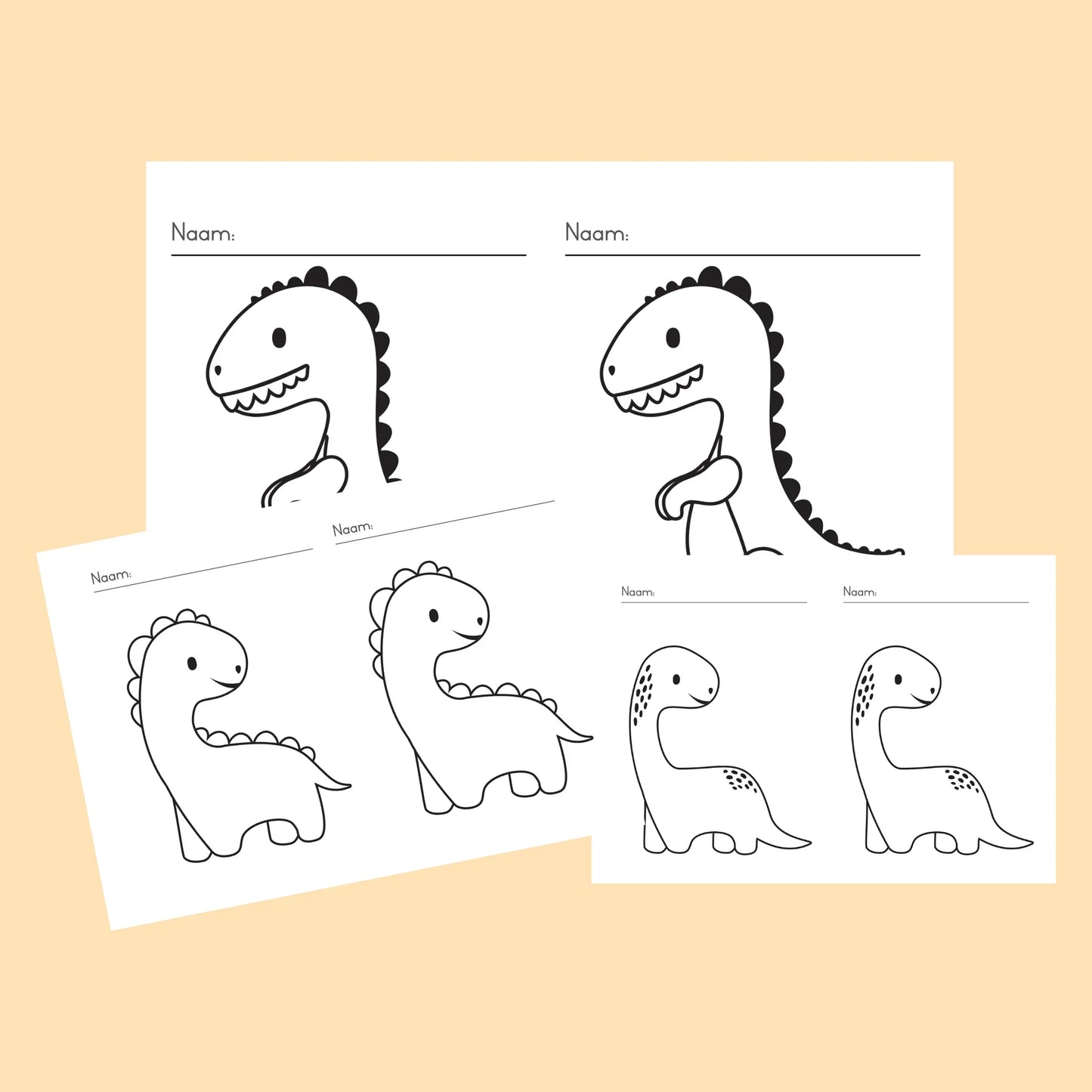 A5 Dinosourus Rapport Dekking