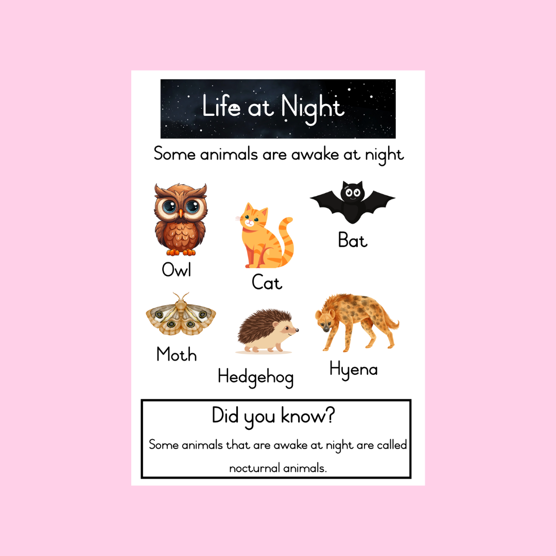 Life At Night Posters