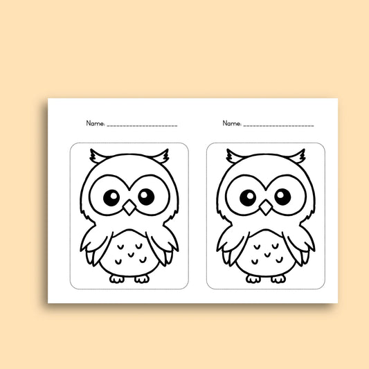 A5 Owl Report Cover