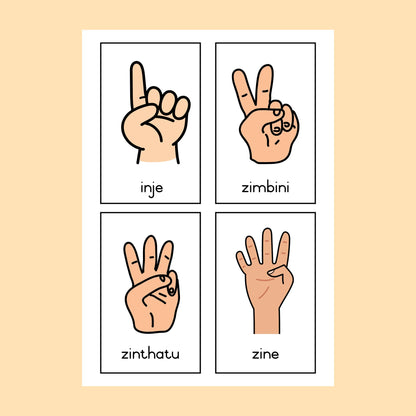 isiXhosa Display Cards (numbers, colours, vocabulary)
