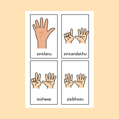 isiXhosa Display Cards (numbers, colours, vocabulary)