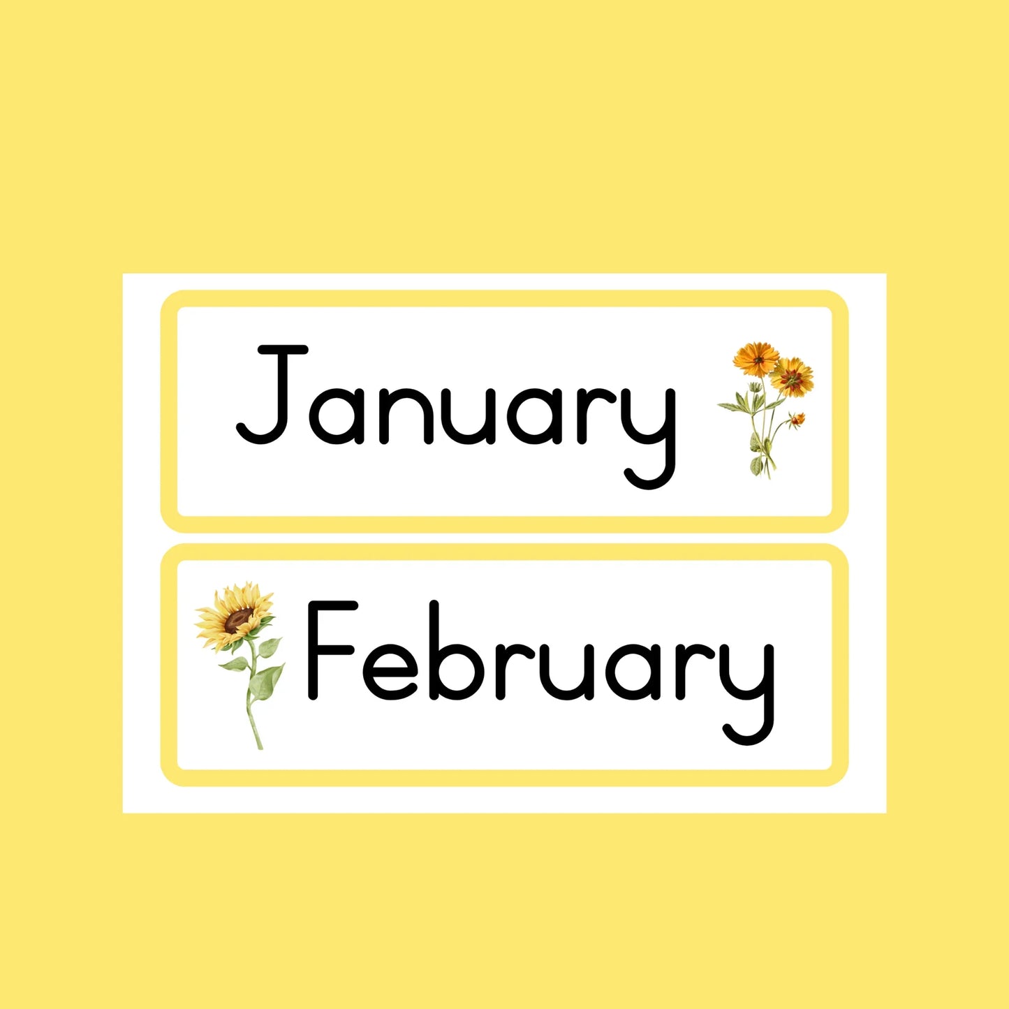 Sunflower Classroom Theme