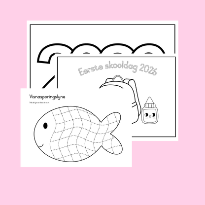 Ons eerste week by die skool