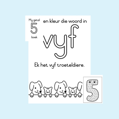 My getal 5 boek