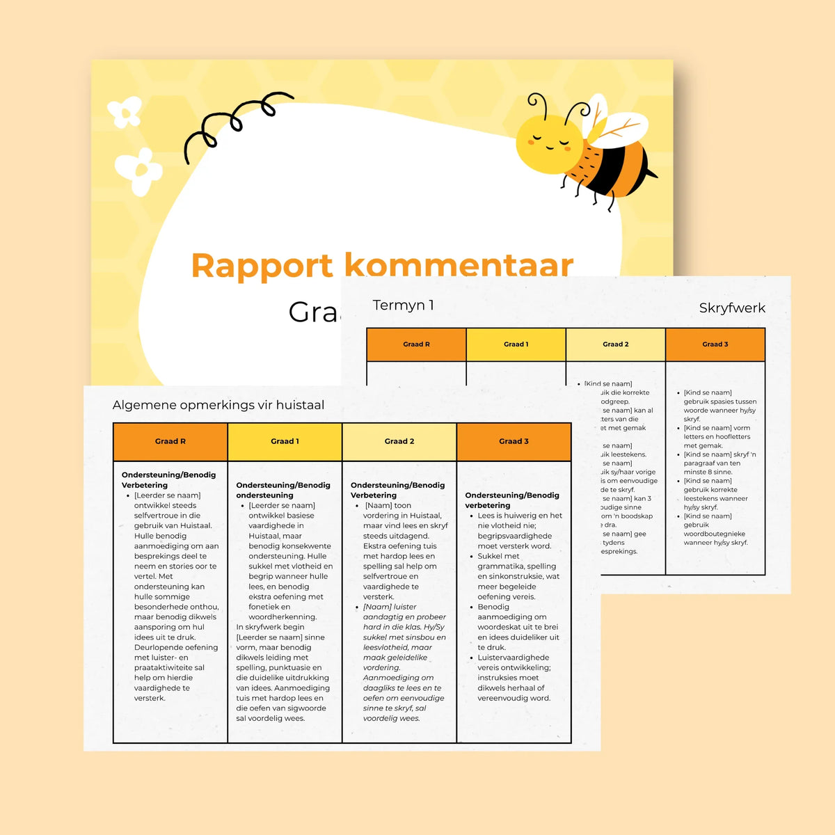 Rapport Kommentaar Graad R to 3 – Beeing The Foundation